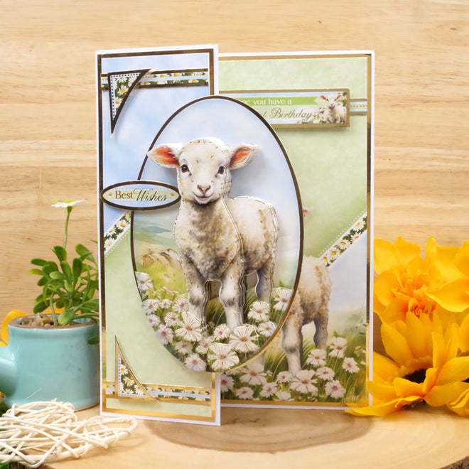 Spring is Here Deco-Large Set - A Boo-rilliant Birthday