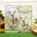 Spring is Here Designer Deco-Large Collection