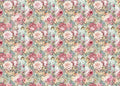 Tissue Paper cm69x49 27.66"x19.29” Hill Garden