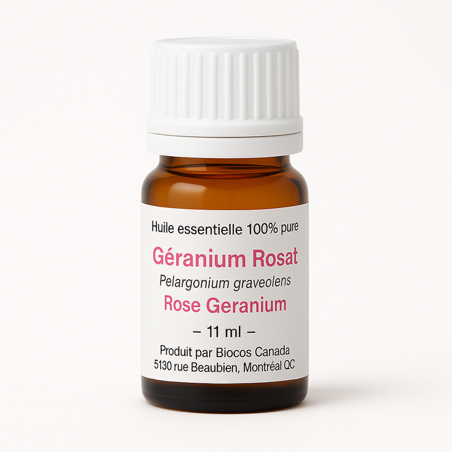 Géranium Rosat
