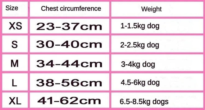 Chewnel Harness Set | Dog Harness Leash Set