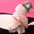 Spring Jacket