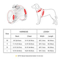 Waterproof Bow Dog Harness & Leash Set