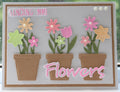 Elegant Arrangement Bundle