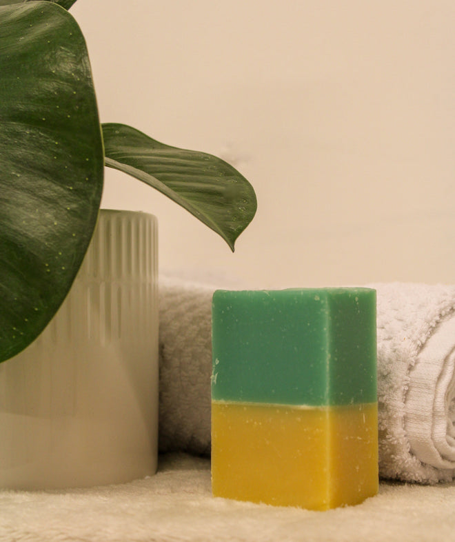 Savon en barre - Coco Lime
