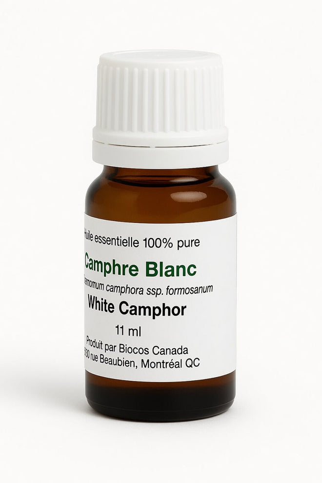 Camphre Blanc