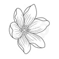 Woodware Clear Singles Mini Garden Spray 3.8 in x 2.6 in Stamp