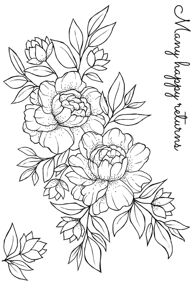 Woodware Clear Singles Many Happy Returns 4 in x 6 in Stamp