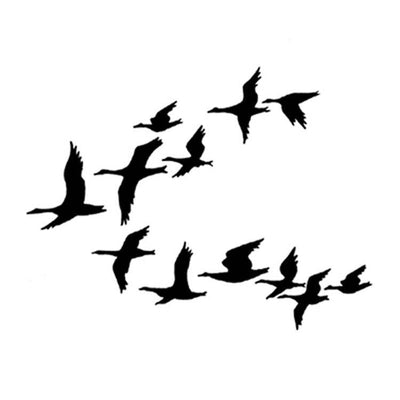 Image without description.