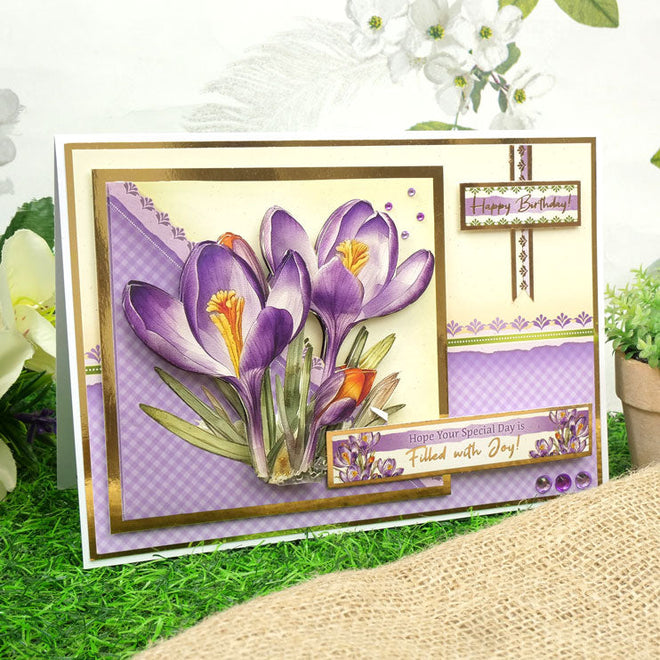 Square Little Book of In Full Bloom - Floral Delights