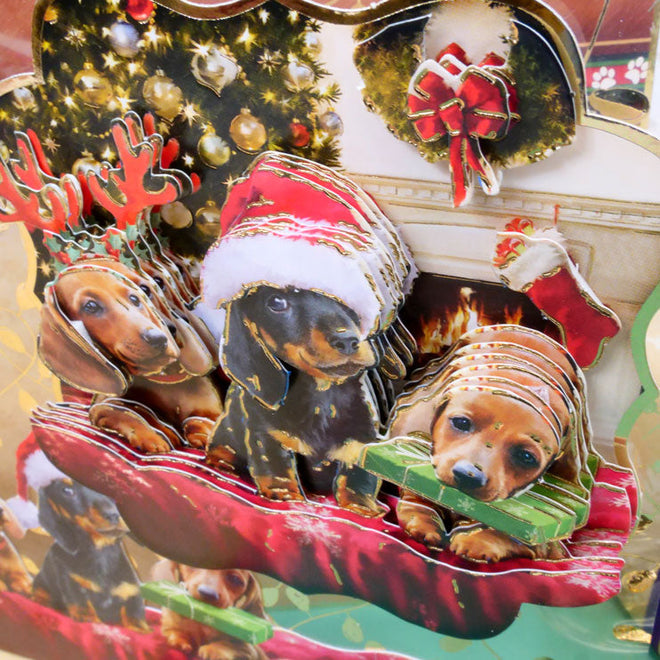 A Merry Little Christmas Deco-Large Set - Pawsitively Festive
