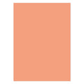 Matt-tastic Adorable Scorable A4 Cardstock x 10 Sheets