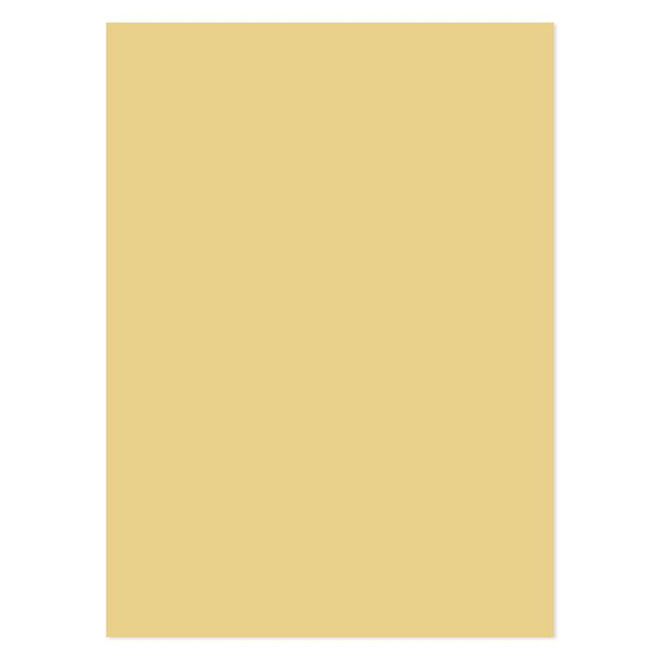 Matt-tastic Adorable Scorable A4 Cardstock x 10 Sheets