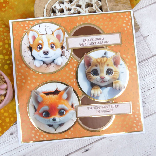 Peeping Pals Pocket Pad