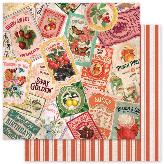 Meadowbrook Farm Basics E 12 x 12 Paper (12 pc Bulk Pack) 35058