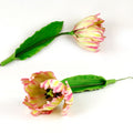 Flower Pro Peony / Tulip Silicone Mould and Veiner