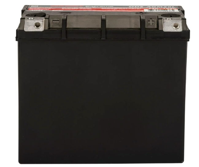 ODYSSEY Extreme Battery ODS-AGM20L