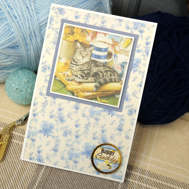 Purr-fect Days Printed Parchment