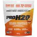 PVL PROH2O HYDRATION MIX, 72 Servings
