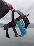 Midnight Sun Waterproof Adventure Harness