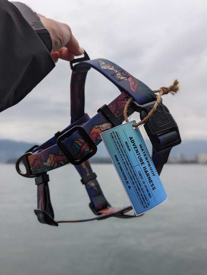 Midnight Sun Waterproof Adventure Harness