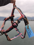Sunrise Peaks Waterproof Adventure Harness