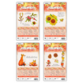 Beauty of Fall Bundle