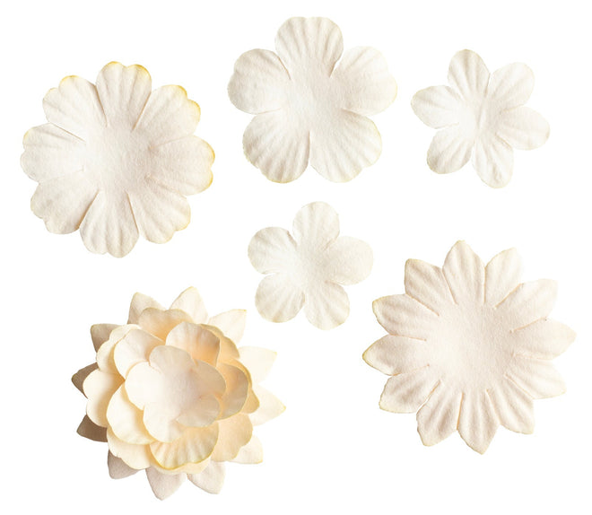 SL Paper Flowers 25x Cream Consumables 25 PC