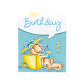 SL Pattern Paper Pad Birthday Sweet Stories 24 SH