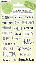 SS Clear Stamp Quotes Small Eggstra Special Sweet Stories 105x148x3mm 24 PC nr.215