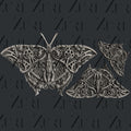 Zuri Designs Steampunk Butterfly