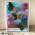 Visible Image Antisocial Butterfly Co-ordinating Dies