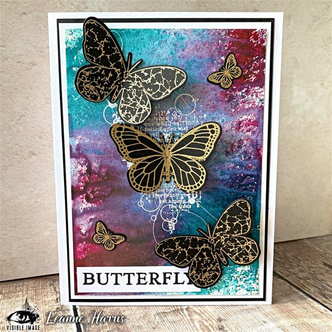 Visible Image Antisocial Butterfly Co-ordinating Dies