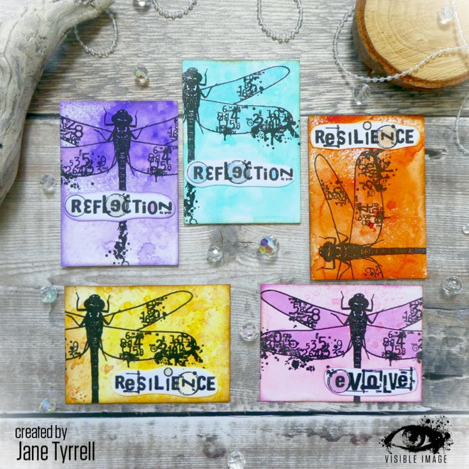 Visible Image Dragonfly Reflection - A5 Stamp Set
