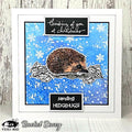 Visible Image Hedgehog Hugs Co-ordinating Dies