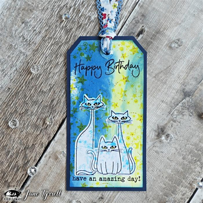 Visible Image That Lovin' Feline - A6 Stamp Set
