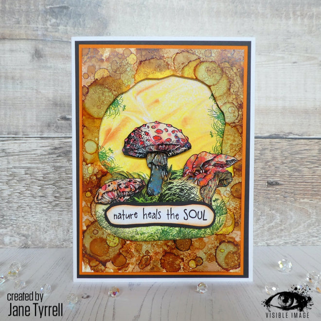 Visible Image Totally Toadstools - A6 Stamp Set