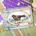 Whopper Topper Pad - Britain's Favourite Birds