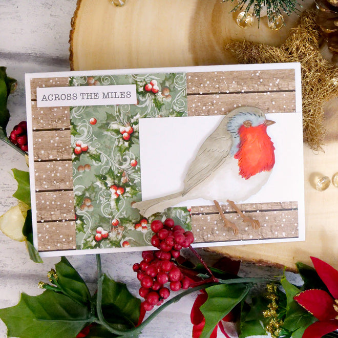 Winter Robins Luxury Inserts & Papers