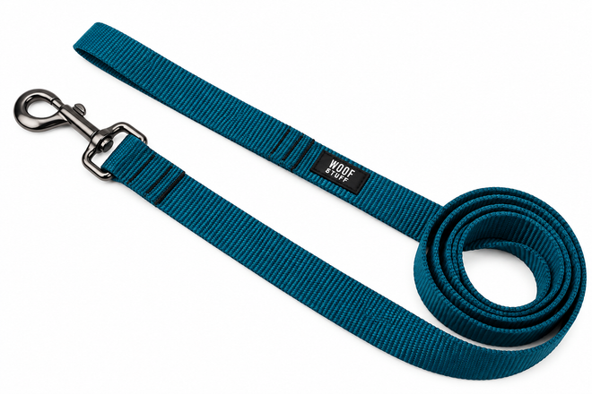 Basecamp Leash