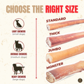 6 Inch Thick Bully Stick