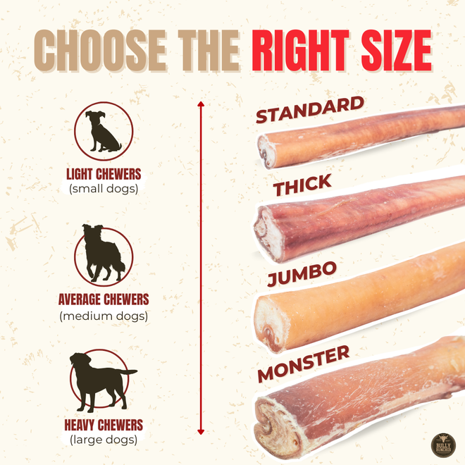 6 Inch Jumbo Bully Stick