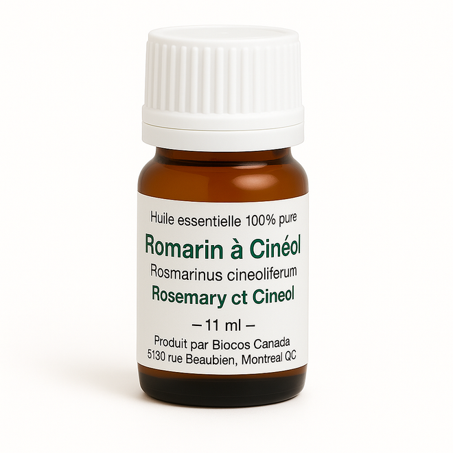 Romarin à Cinéol