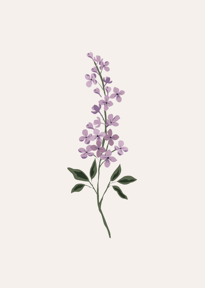 Lilas Flower Art Print