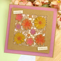 Moonstone Dies - Liftables Fabulous Flowers