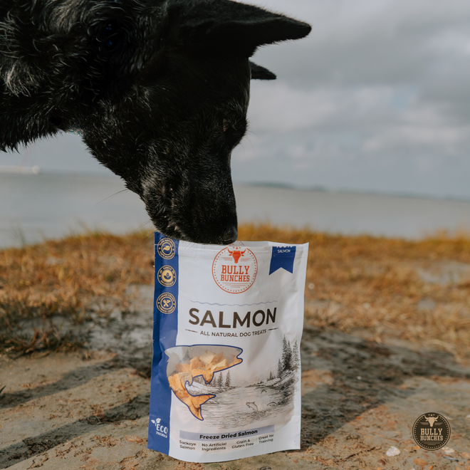 Freeze Dried Salmon 100g / 3.5oz