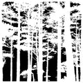 The Crafters Workshop 6x6 Stencil Tree Canopy