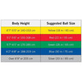 TheraBand PRO Series SCP Exercise Balls