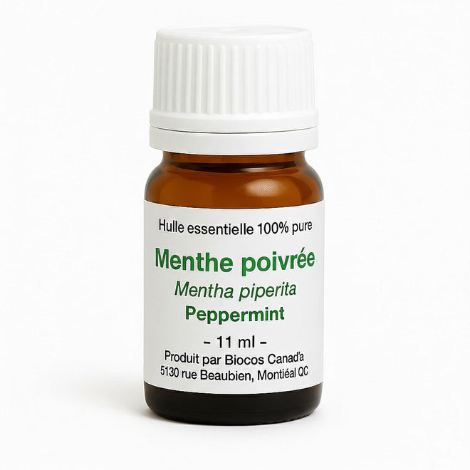 Menthe poivrée