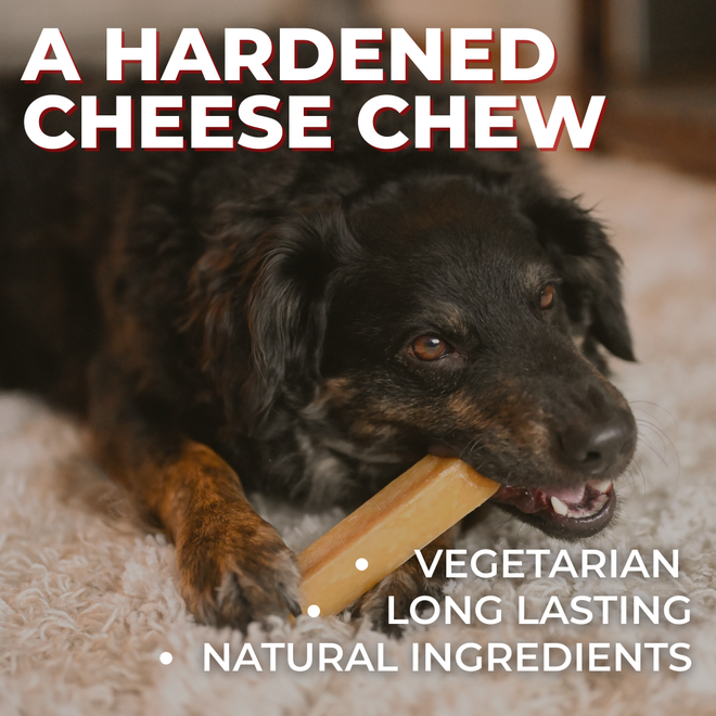 Himalayan Yak Chew (SMALL)